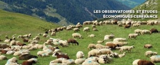 Tendances agricoles 2017 en Occitanie - Communiqué de presse Cerfrance Janvier 2018